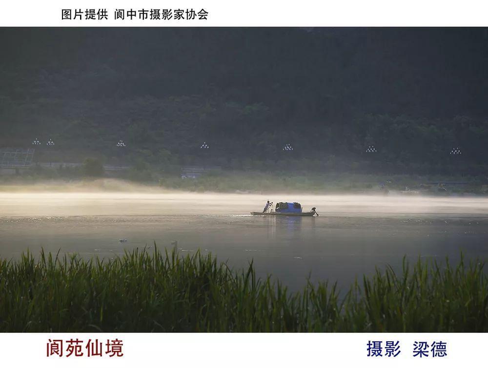 春雨直播app